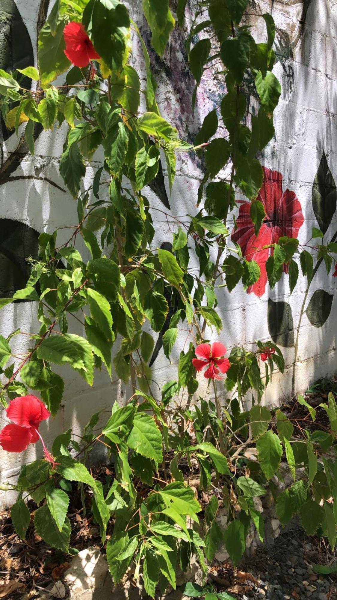 Casona La Carolina Villa San Andres  Ngoại thất bức ảnh