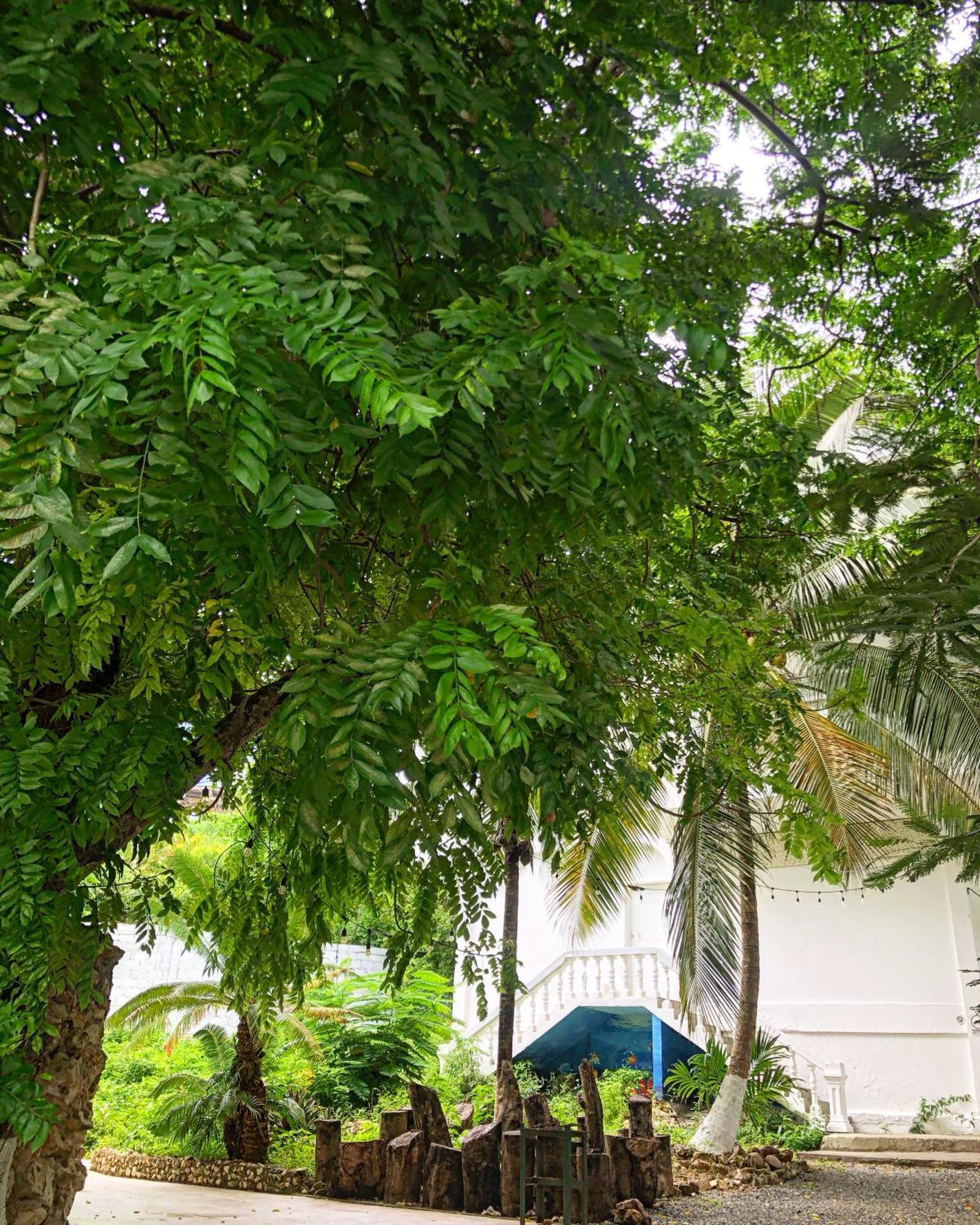 Casona La Carolina Villa San Andres  Ngoại thất bức ảnh