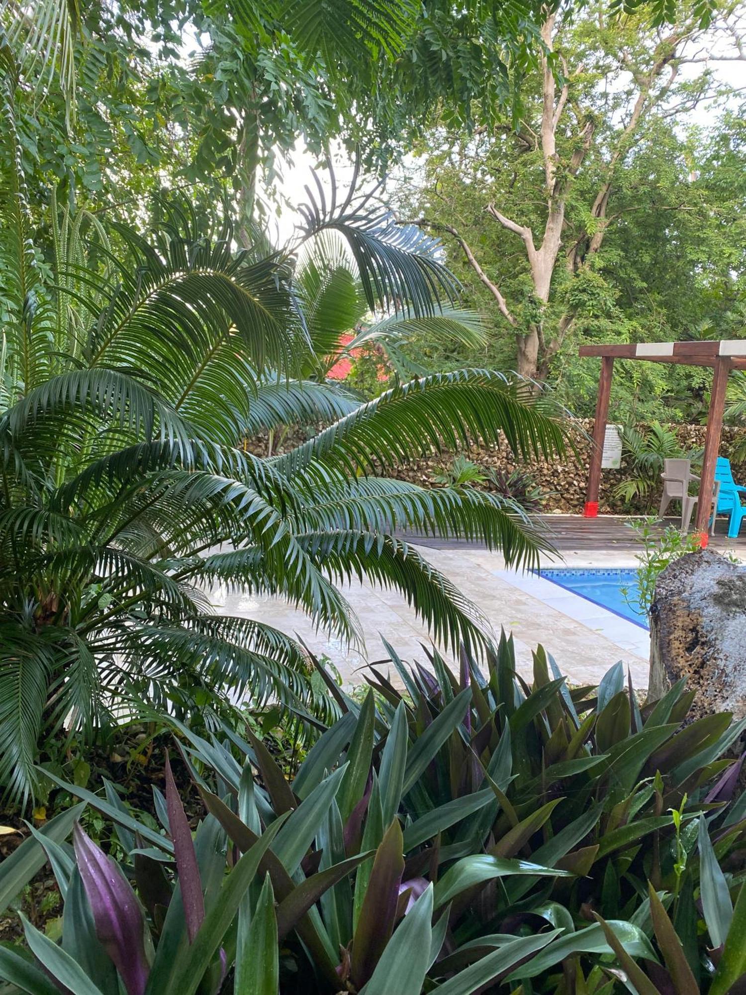 Casona La Carolina Villa San Andres  Ngoại thất bức ảnh